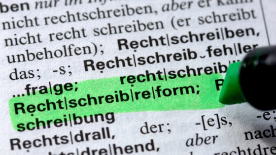 sie haben recht rechtschreibung